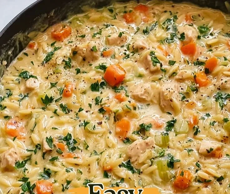 Creamy chicken pot pie orzo served in a rustic bowl with fresh herbs