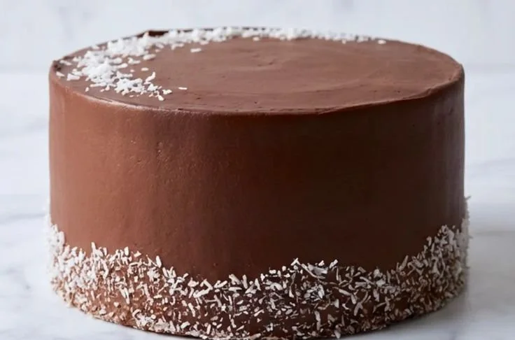 Delicious Chocolate Coconut Cake topped with coconut flakes on a plate.